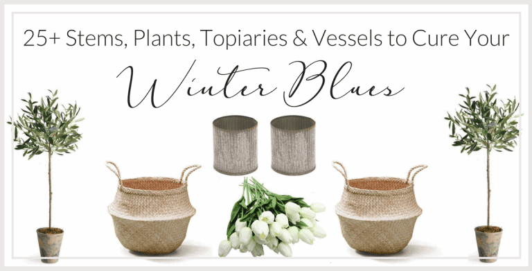 25+ Stems, Plants, Topiaries & Vessels to Beat the Winter Blues