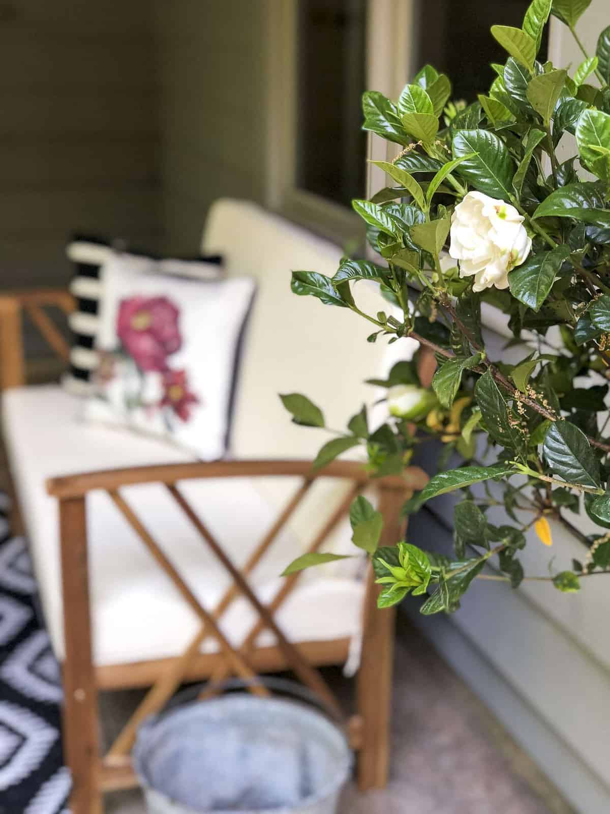 Are you looking for easy updates to make your outdoor living space more livable? Today I'm giving you five ways to update your outdoor living space to make it an enjoyable oasis to enjoy all summer long and well into the fall. Read more for 5 easy tips!