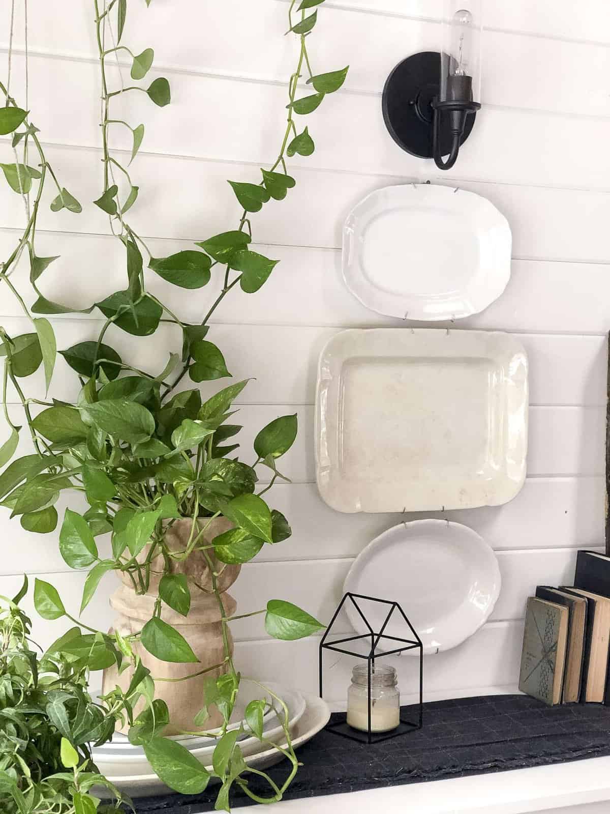 Are you looking for unique ways to warm up your winter decor? Read more about how I created this vertical garden with my winter buffet decor. #fromhousetohaven #verticalgarden #modernfarmhouse #plantlady