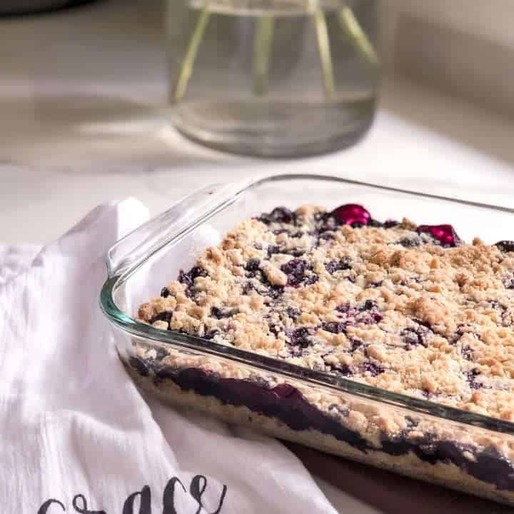 Blueberry Crumb Bar Recipe