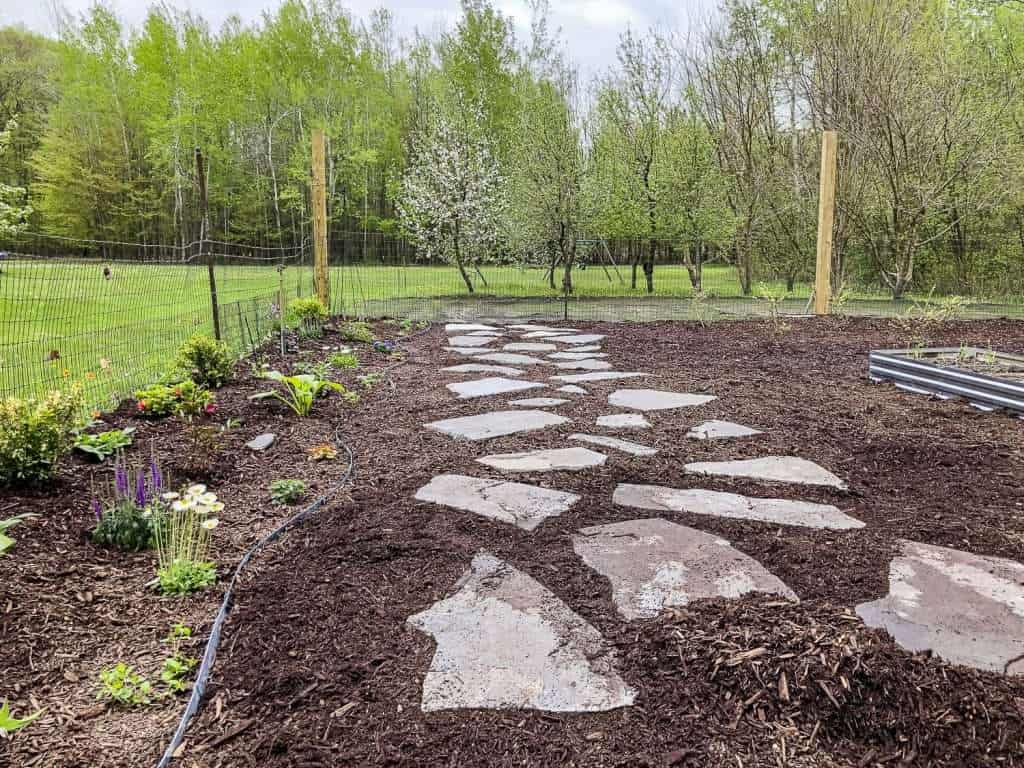 Add mulch to the flagstone pathway.