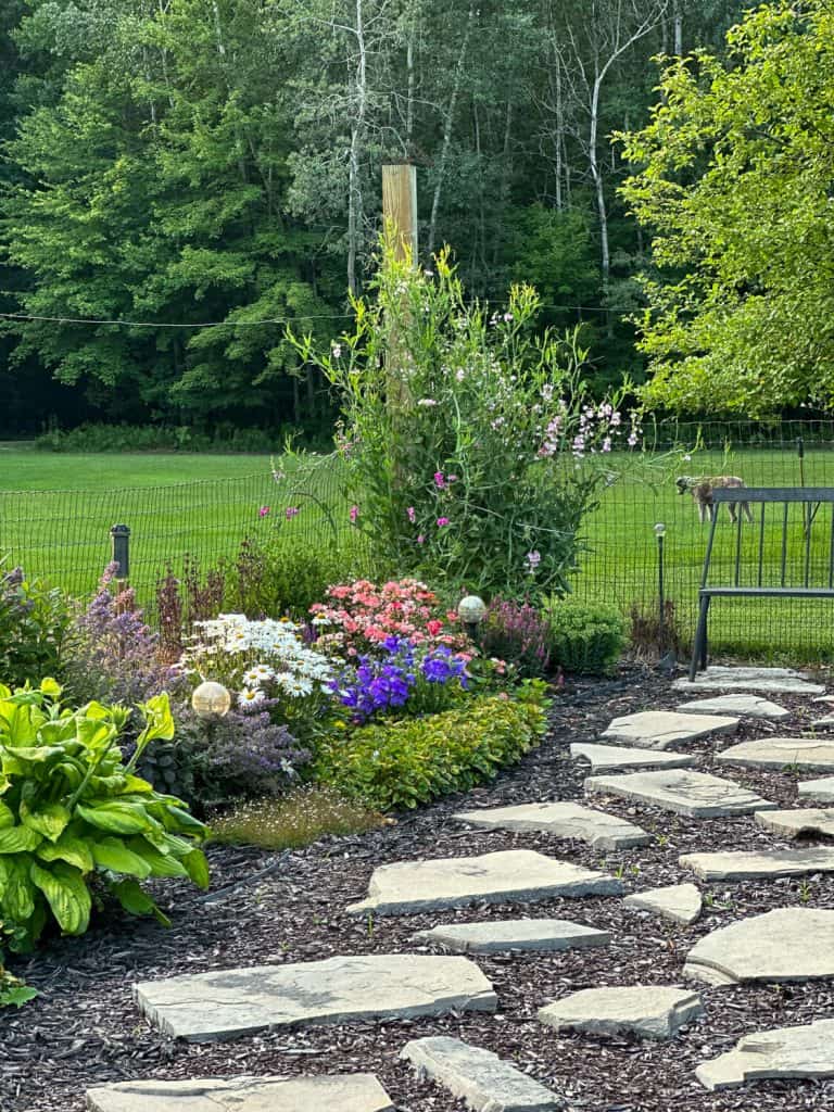 Flagstone pathway in a garden.