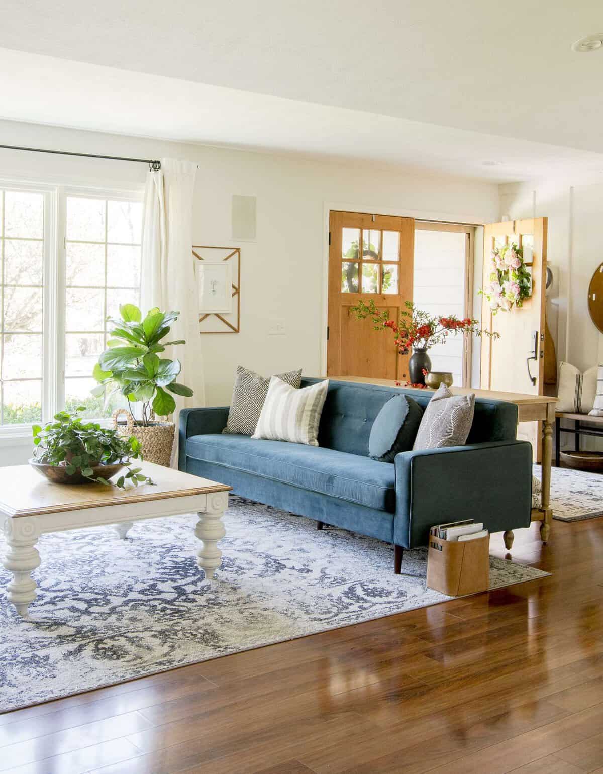 Fiddle leaf fig in a living room.