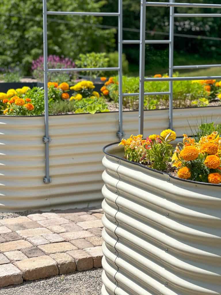 White metal raised garden beds.