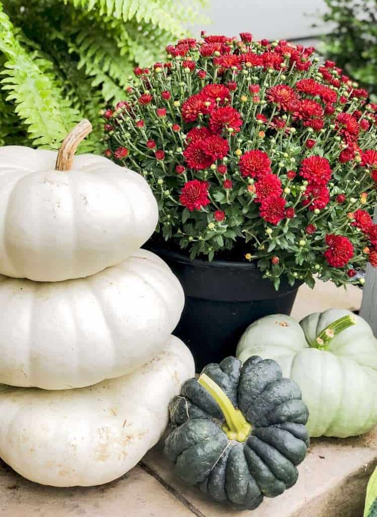 Fall front porch decor with pumpkins and mums.