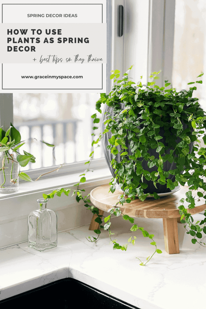 How to Use Plants as Decor to Decorate for Spring