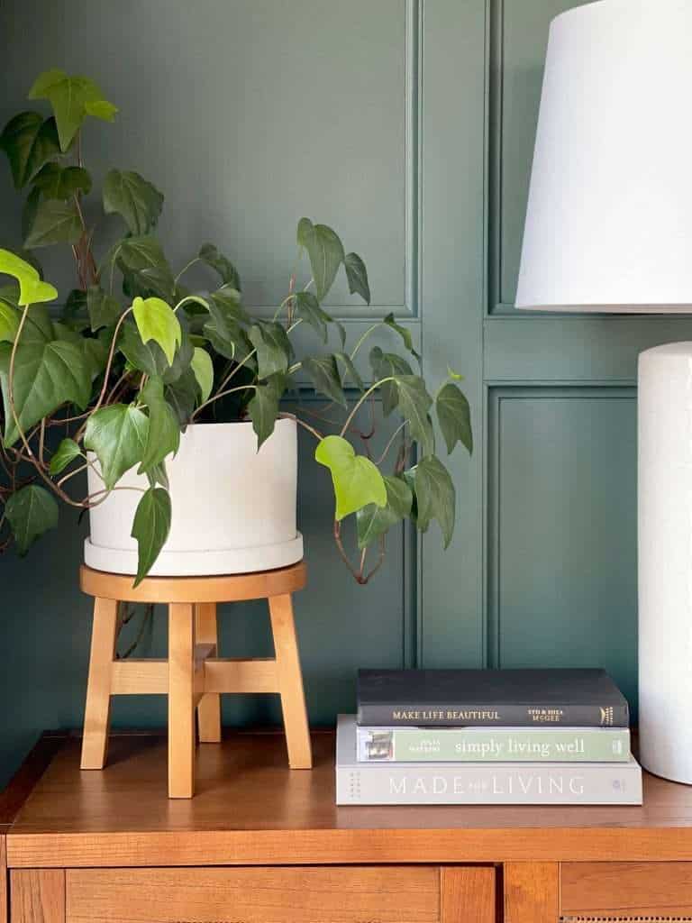 Plant on a side table