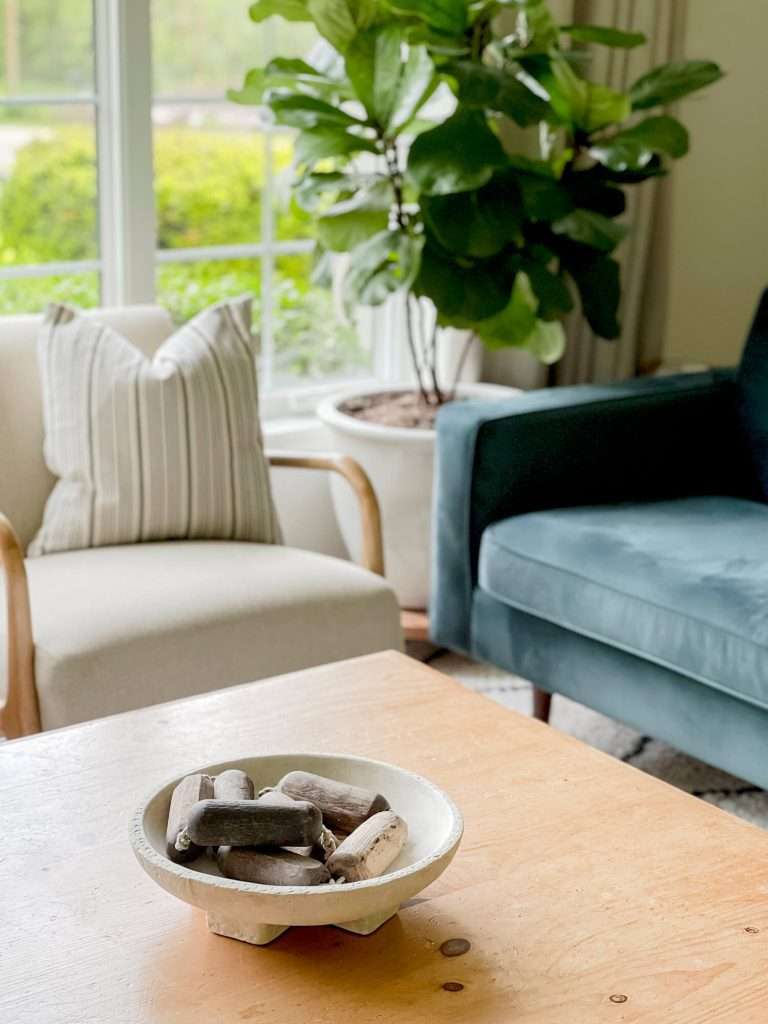 Wood floats in a stone bowl on a coffee table.