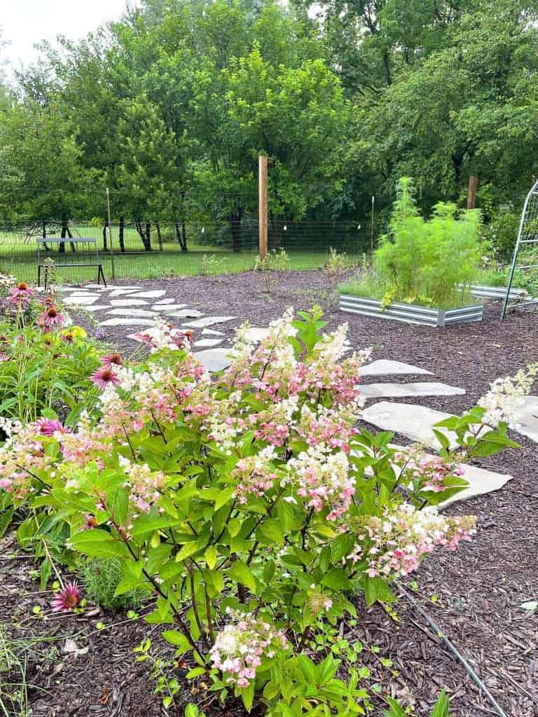 Raised beds for how to start a garden from scratch