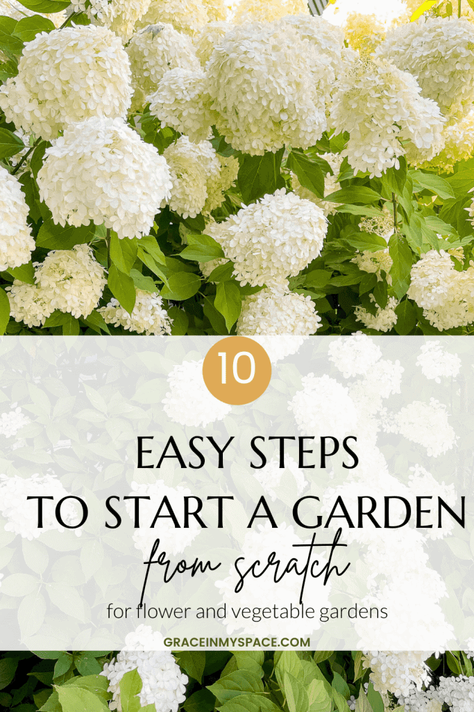 10 Easy Steps to Create Gardens in Your Yard for the First Time