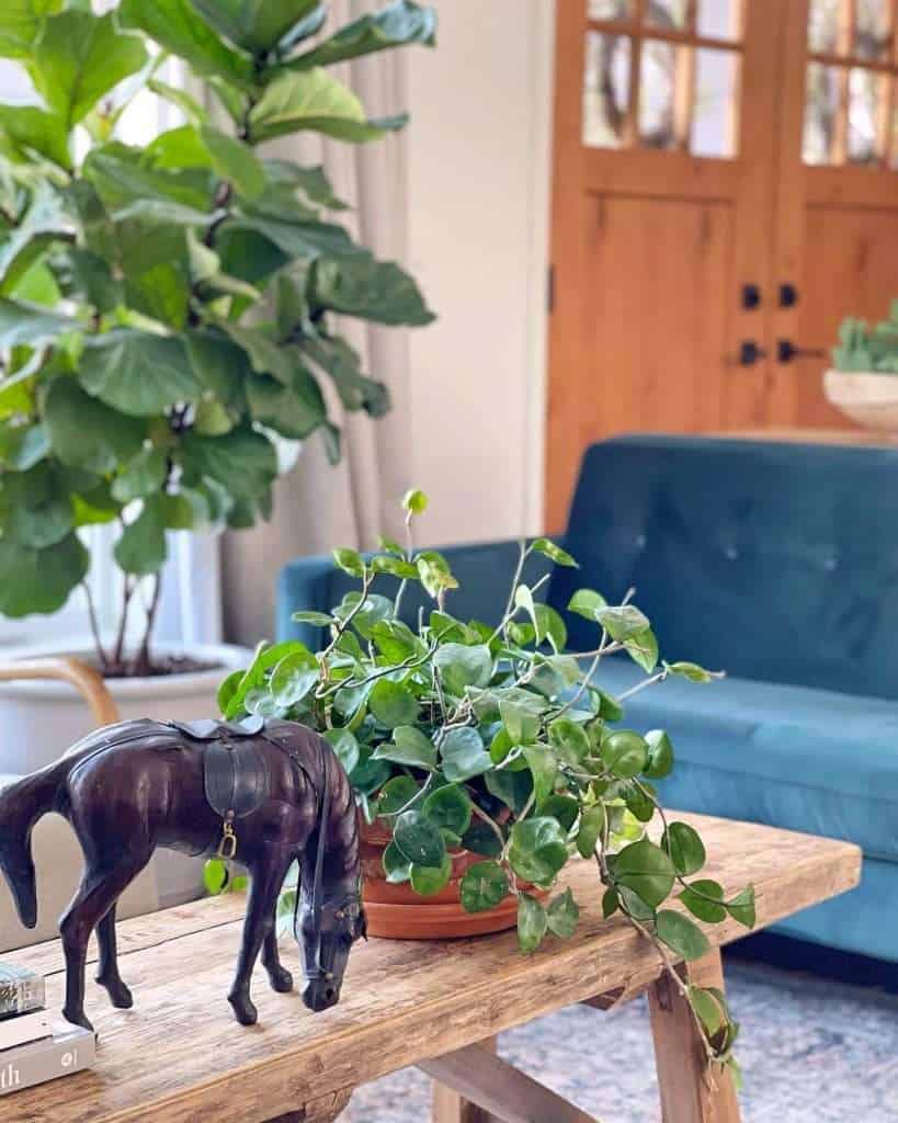 Leather horse and plant.