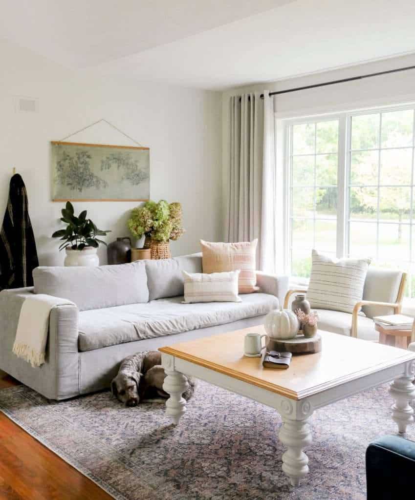 Coffee table with dog and sofa.