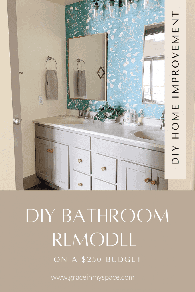 $250 DIY Bathroom Remodel on a Budget