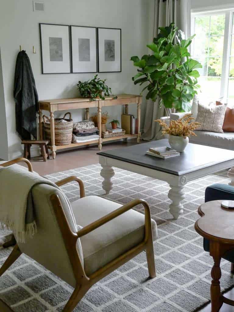 Fiddle leaf fig in the corner of a living room.