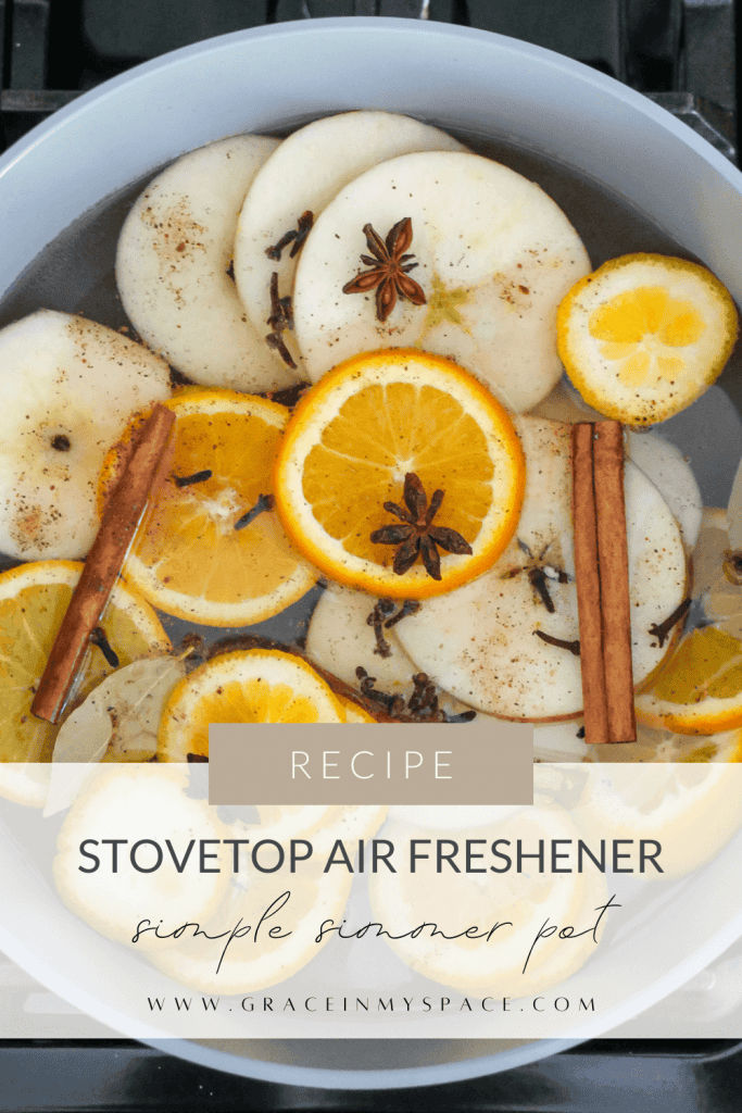 Best Stovetop Air Freshener | 2 Minute Simmer Pot Recipes