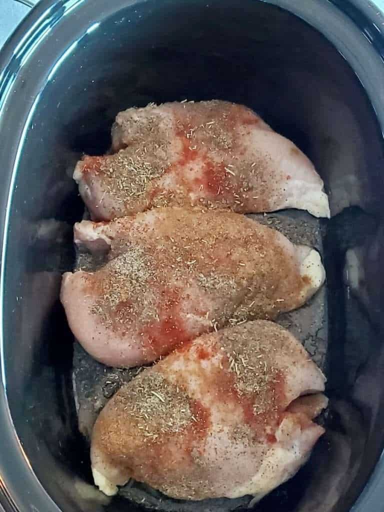 Chicken breast with spices.