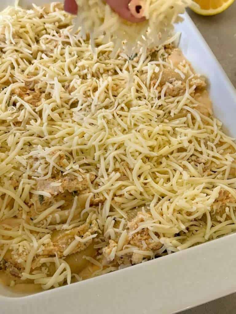 Cheese sprinkled on top of pasta shells.