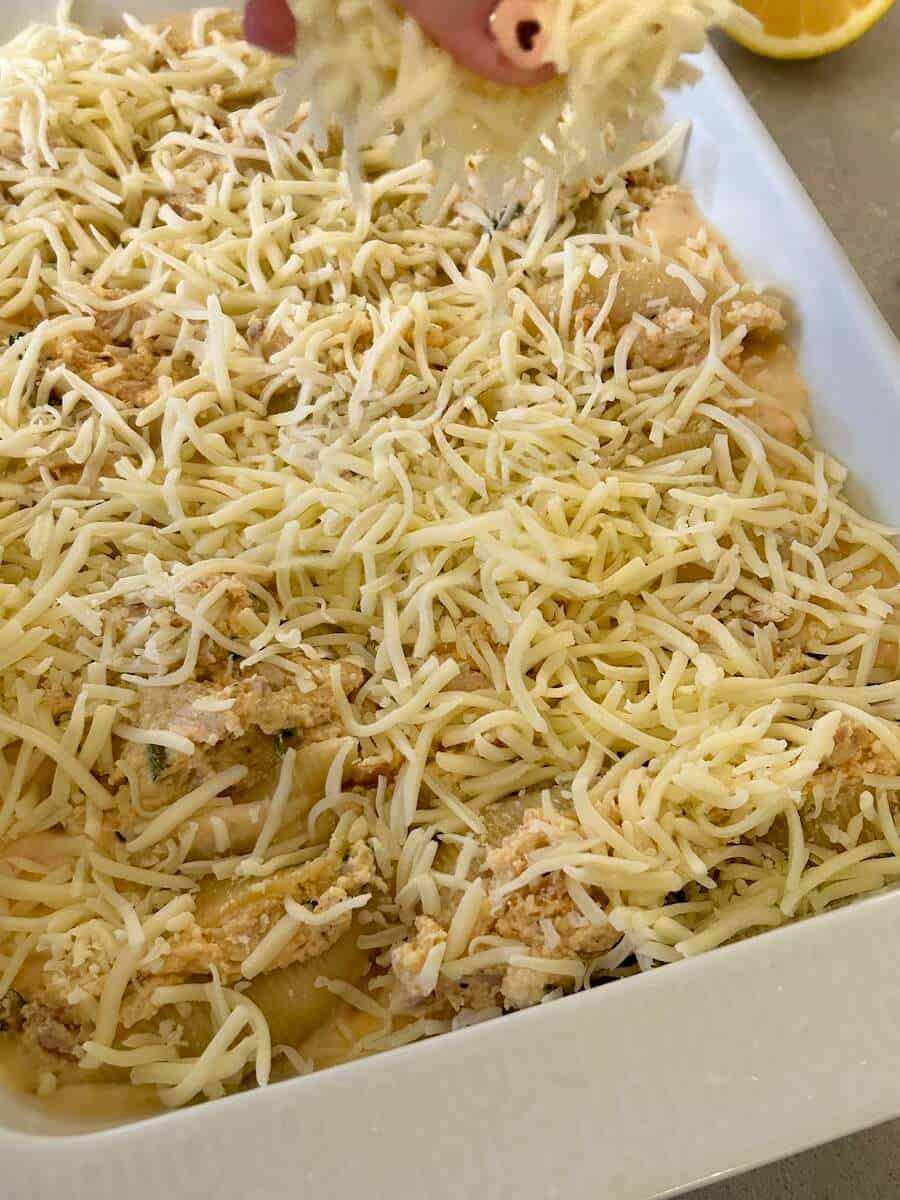 The Best Creamy Cajun Chicken Stuffed Shells Grace In My Space