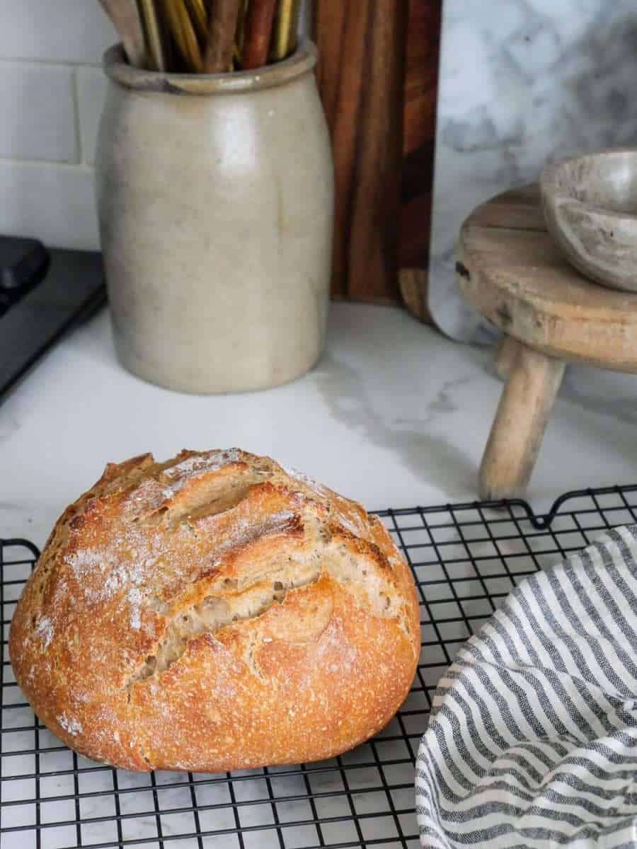 No Knead Whole Wheat Sourdough Bread | Small Batch Sourdough