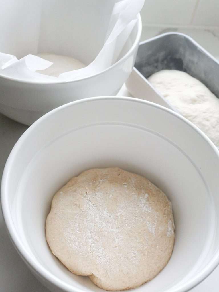 Sourdough wheat dough
