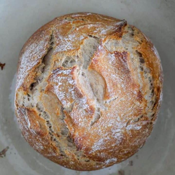 No Knead Whole Wheat Sourdough Bread | Small Batch Sourdough