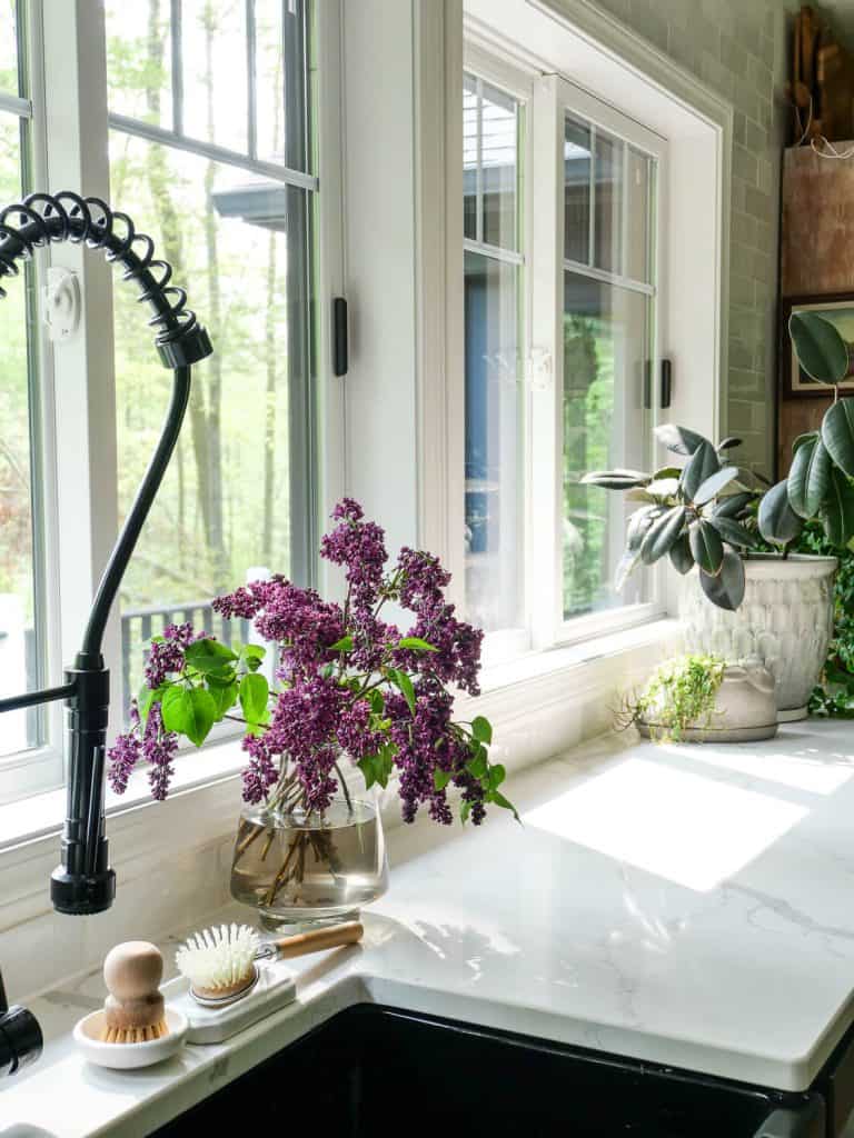 Lilacs on a kitchen countertop