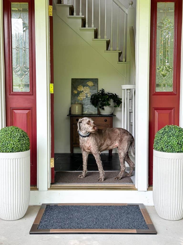 https://graceinmyspace.com/wp-content/uploads/2023/08/entryway-dog-768x1024.jpg