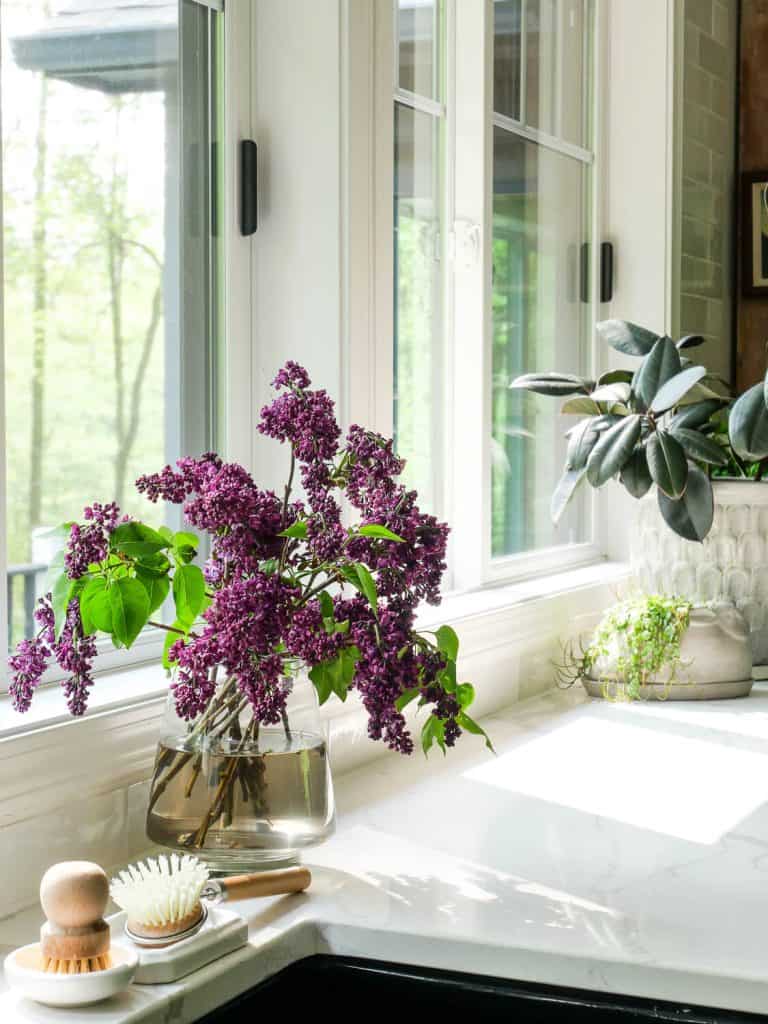 Lilacs on a kitchen counter.