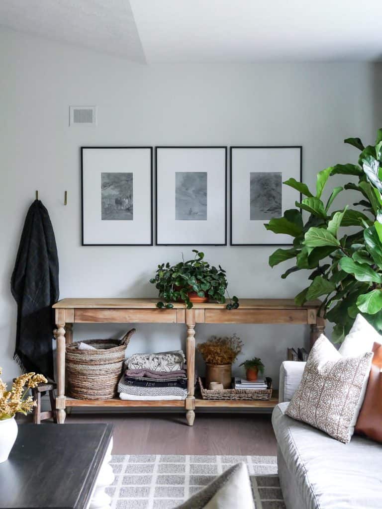 Console table with plant and blankets.