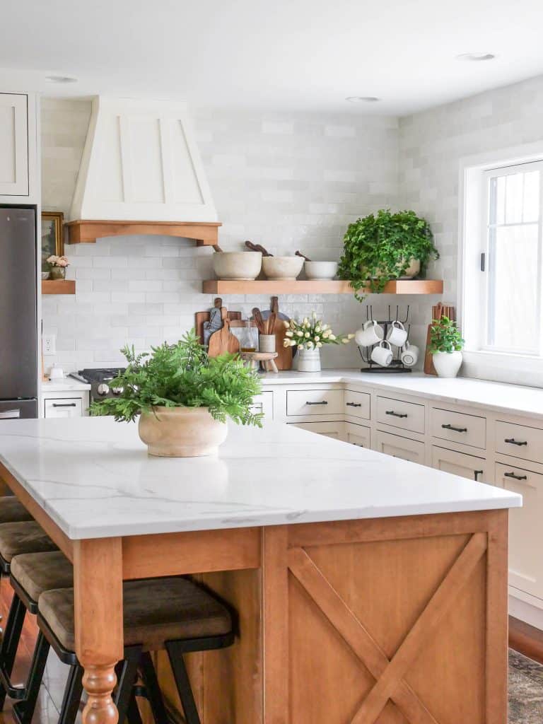 Large plant in a kitchen.