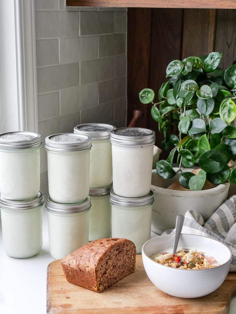 jars of homemade yogurt on a countertop.