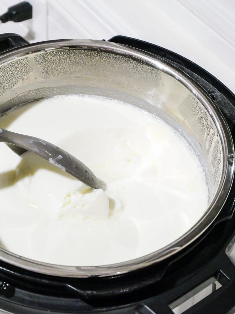 Cooked yogurt in an instant pot.