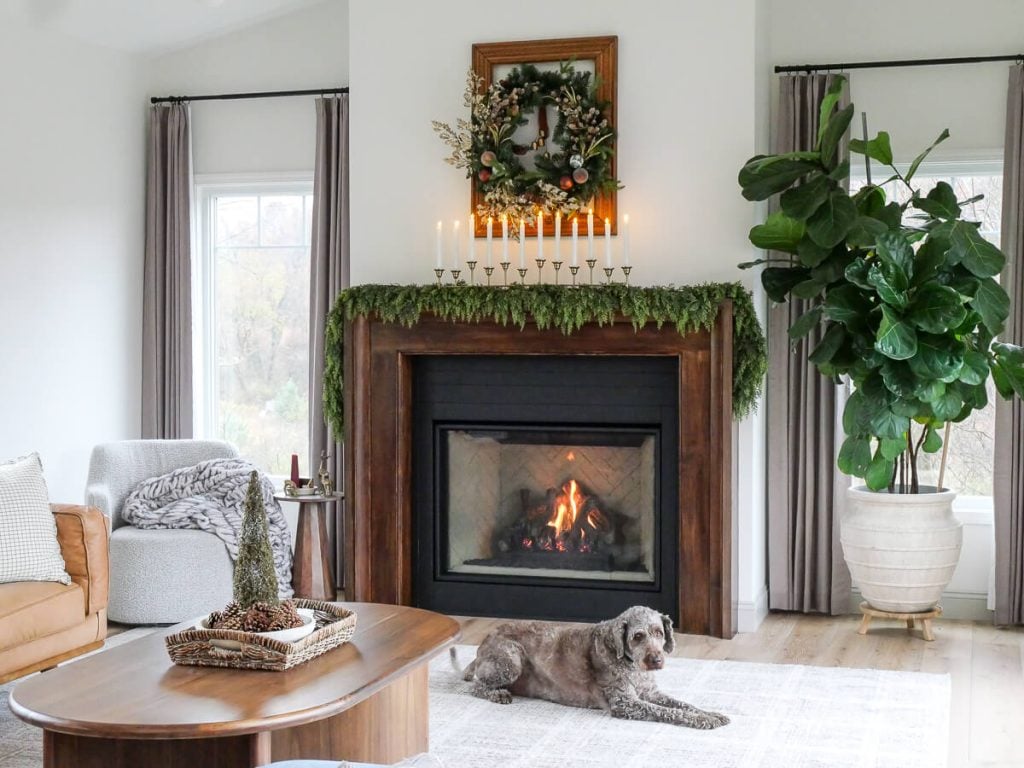 Living room with a dog in front of the fireplace.