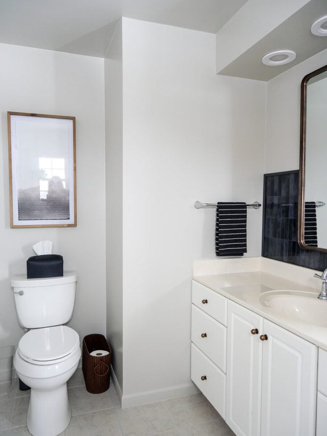 How to Do An Affordable Bathroom Remodel Under $1,000 in 2025 - Grace ...