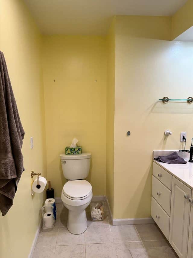 How to Do An Affordable Bathroom Remodel Under $1,000 in 2025 - Grace ...