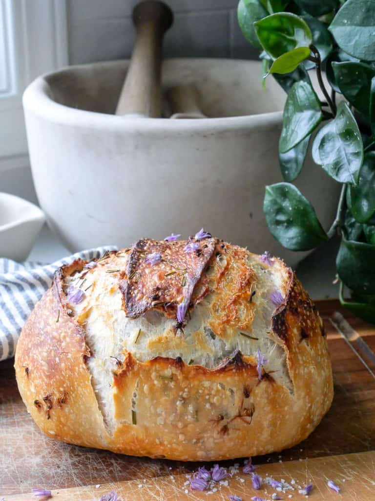 Baked chive blossom sourdough bread recipe.