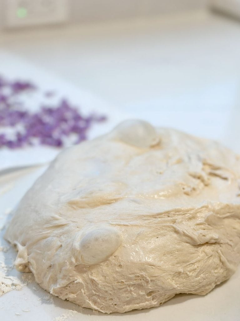 Fermented sourdough with air bubbles.