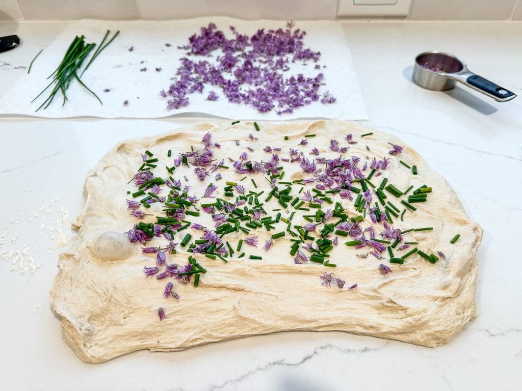 Chives sprinkled on top of sourdough bread dough.