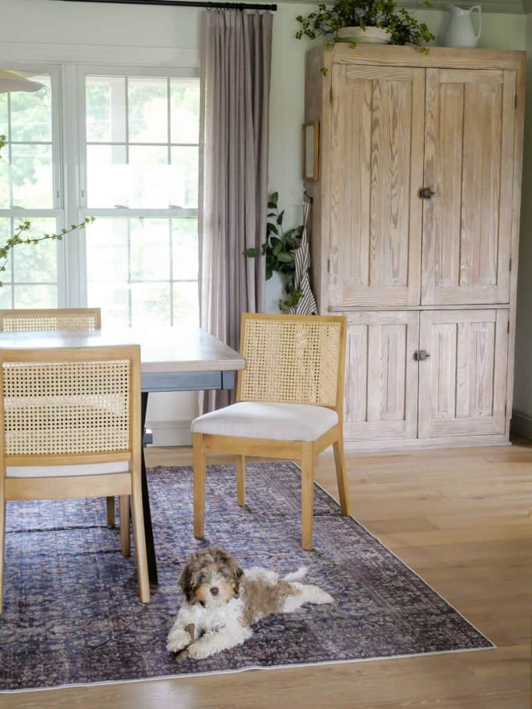 Puppy laying on a rug in a dining room.