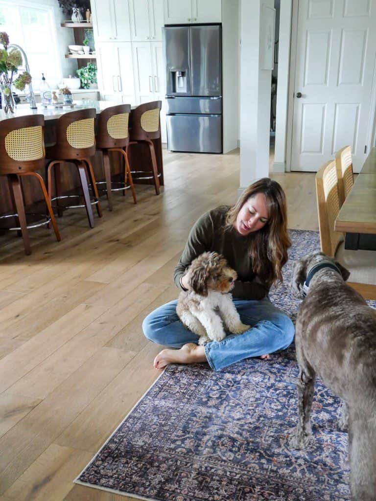 Woman sitting on a washable area rug with a puppy and large dog.