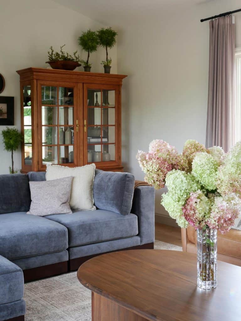 Hydrangeas styled for fall in a living room coffee table.