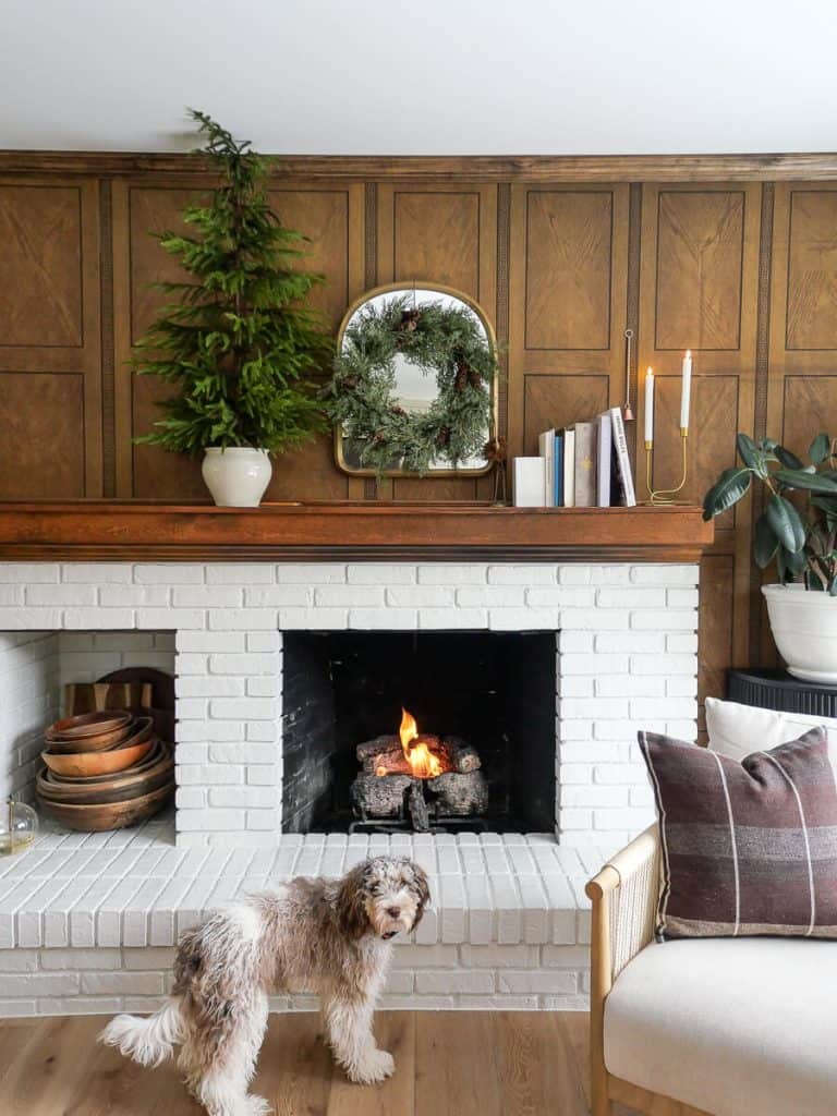 Dog in front of a fire in a fireplace.