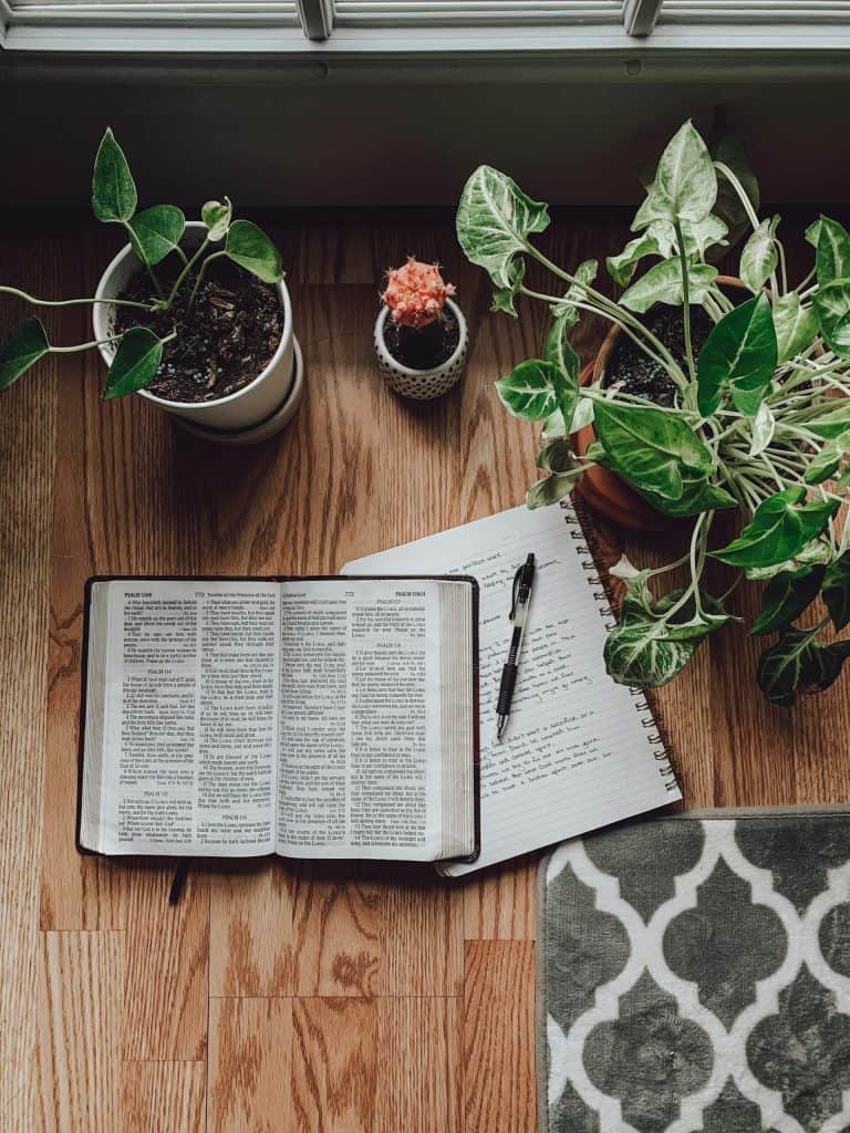 Bible and journal on a table with plants.