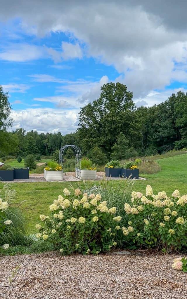 Flowers overlooking a landscape