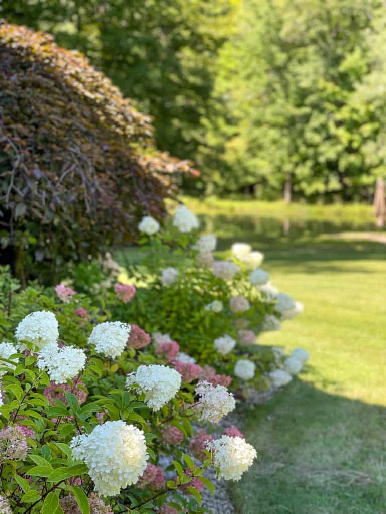 Landscaping near a pond.