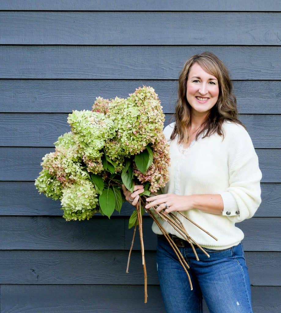 Woman holding limelight hydrangeas. 